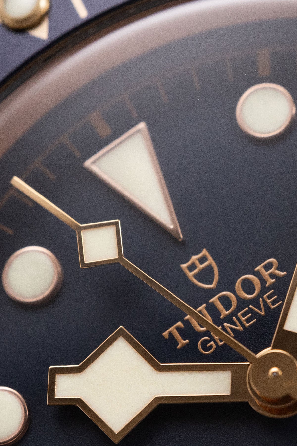 Tudor Black Bay Bronze 'Bucherer Edition' (2020)